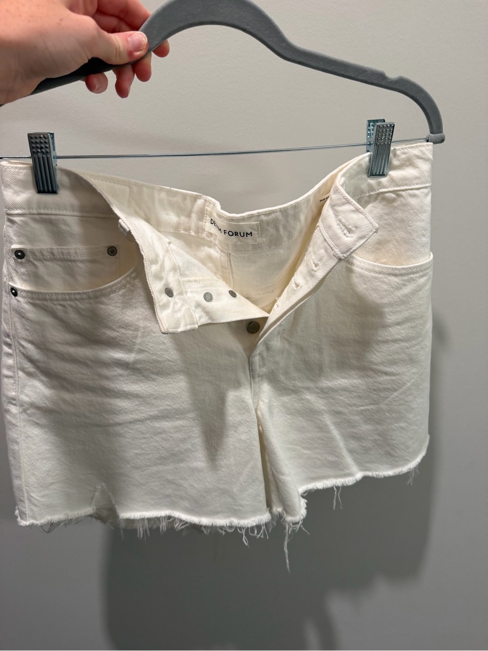 Aritzia Denim Shorts